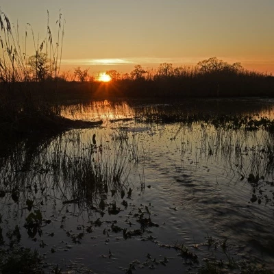millbrook sunset