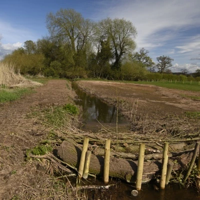 millbrook wetlands  3 april 2016 copy 1
