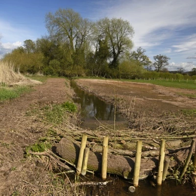 millbrook wetlands  3 april 2016 web  copy