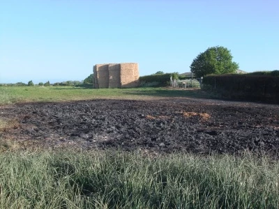 miscanthus fire ash