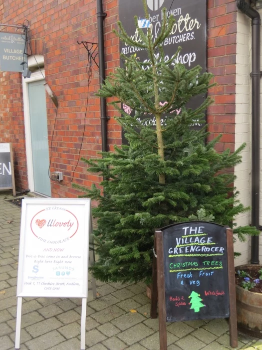 mistletoe at the greengrocers