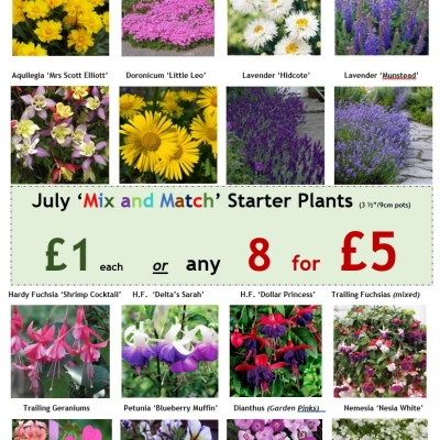 mix and match july 16th 2022