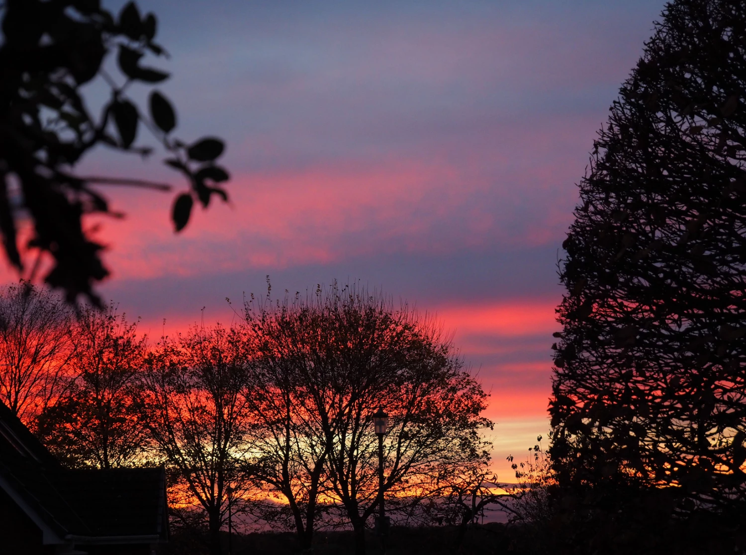 november sunset over moorsfield