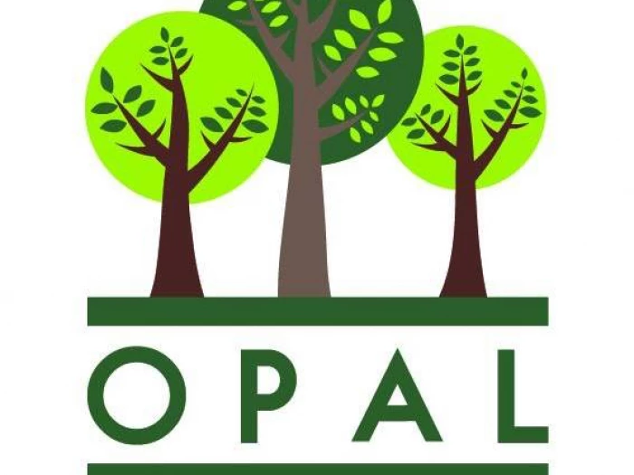 opal png