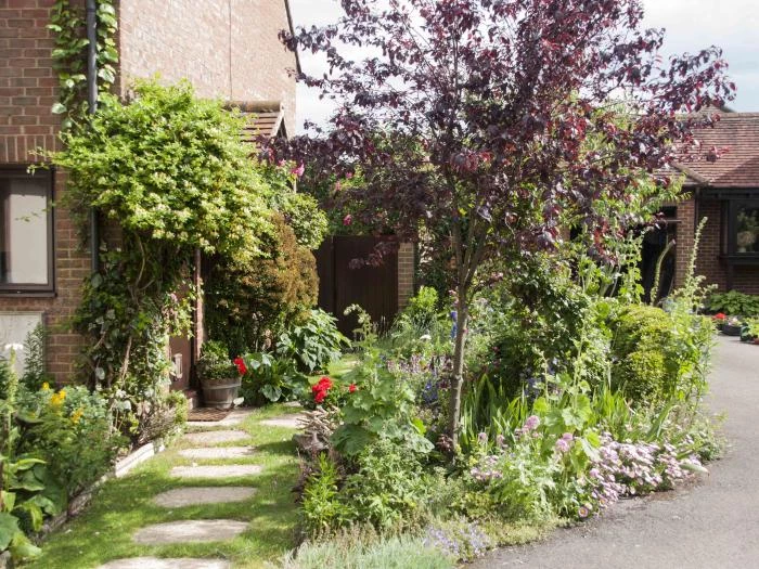 open gardens haddenham image1