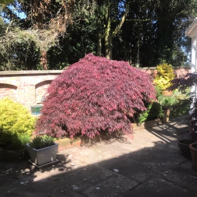 open gardens
