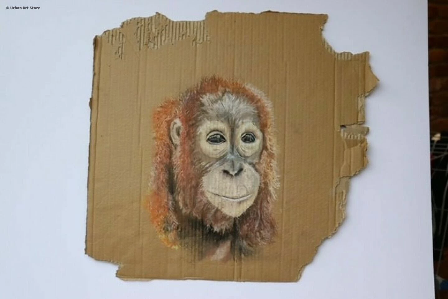 orangutan