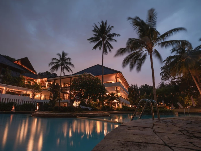 palm trees at night