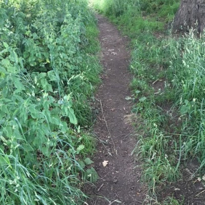 path 4a