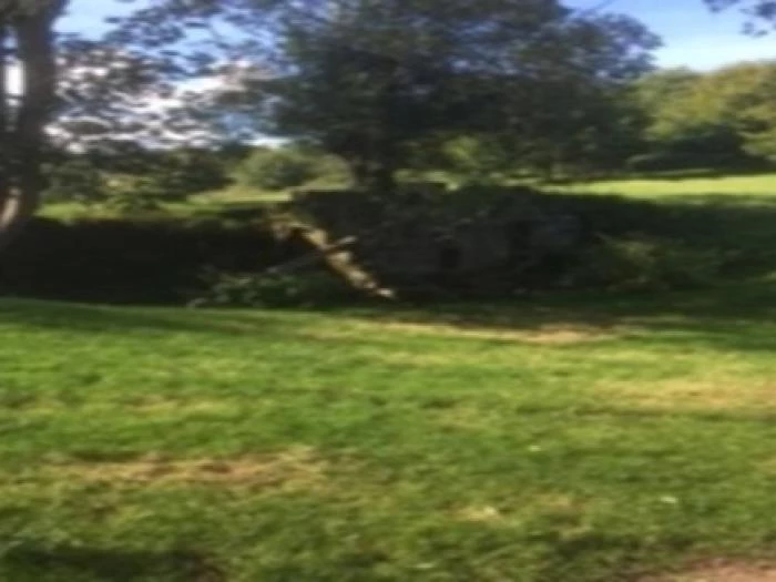 peckforton mill two 2