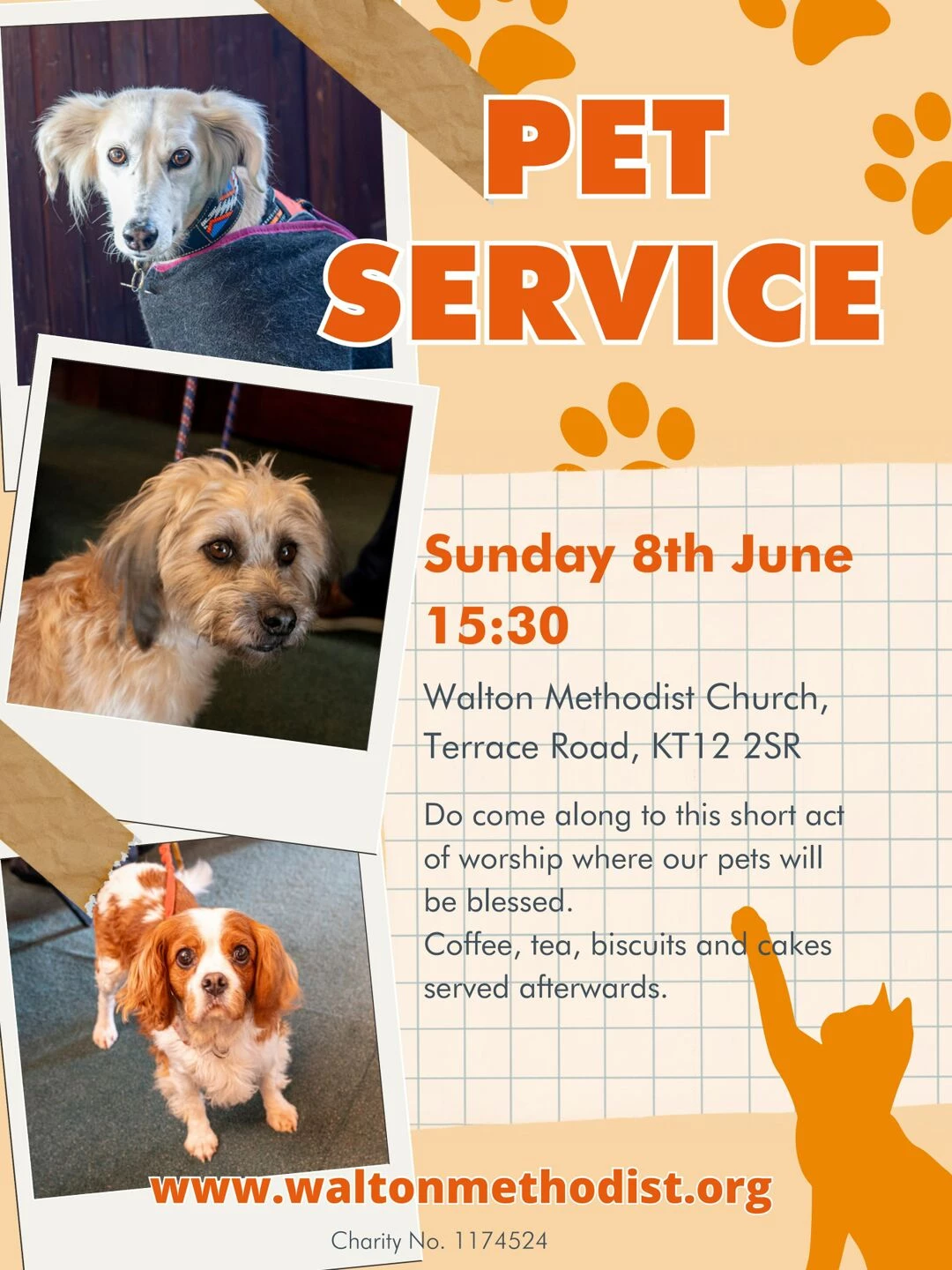 pet service walton june 2025