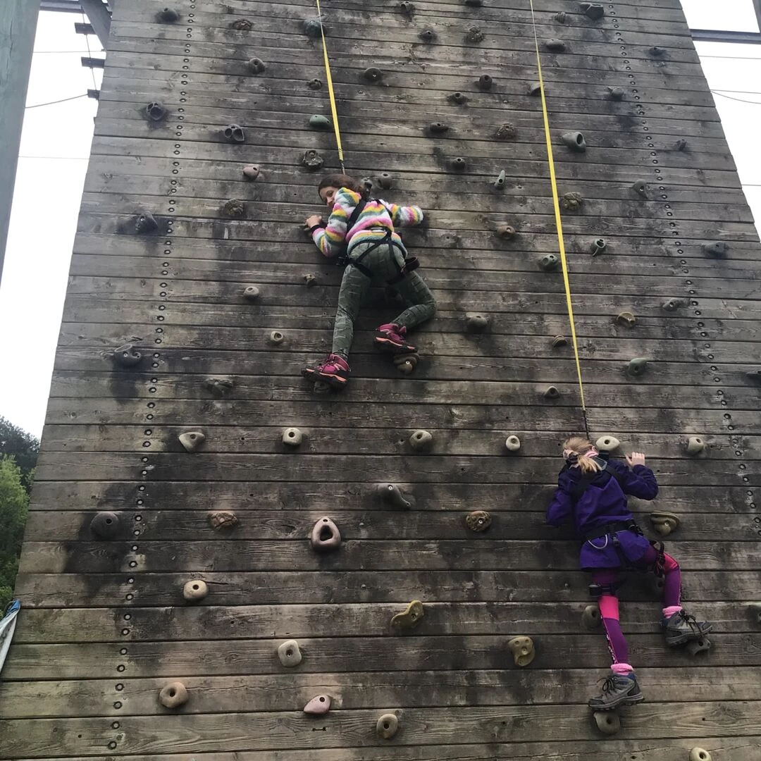 pgl 16