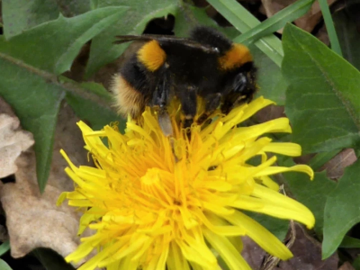 photo20200502125423