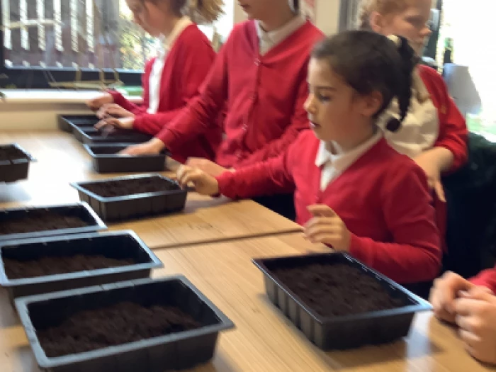 planting 3