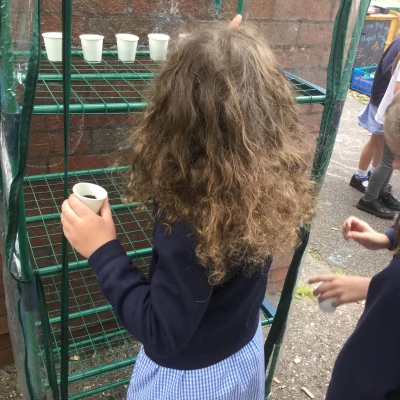 planting 7