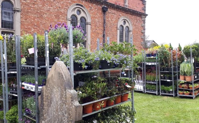 plantsale20190503173250
