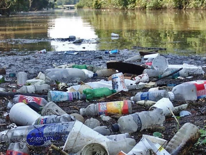 plastic bottle litter