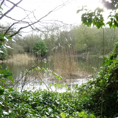 podmore 08