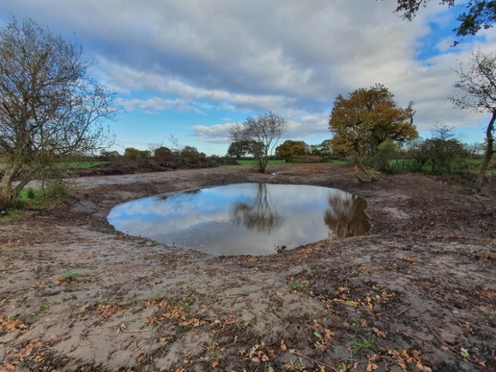 ponds
