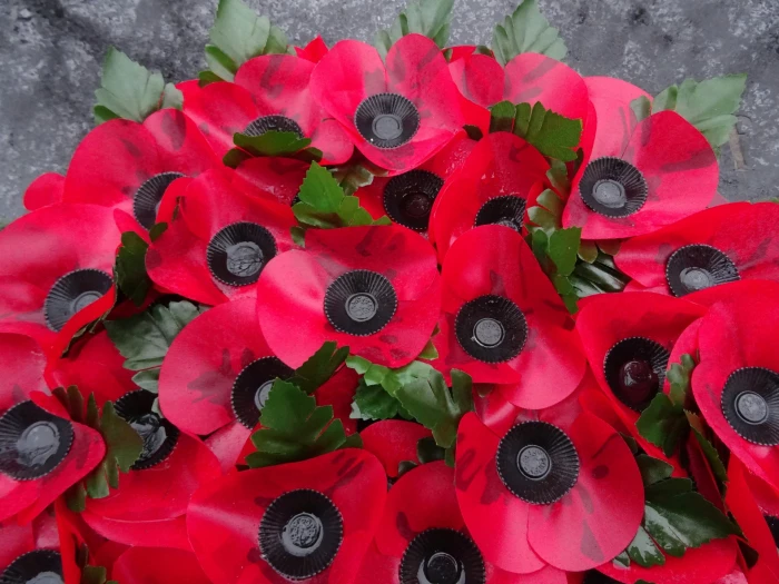 poppy wreath