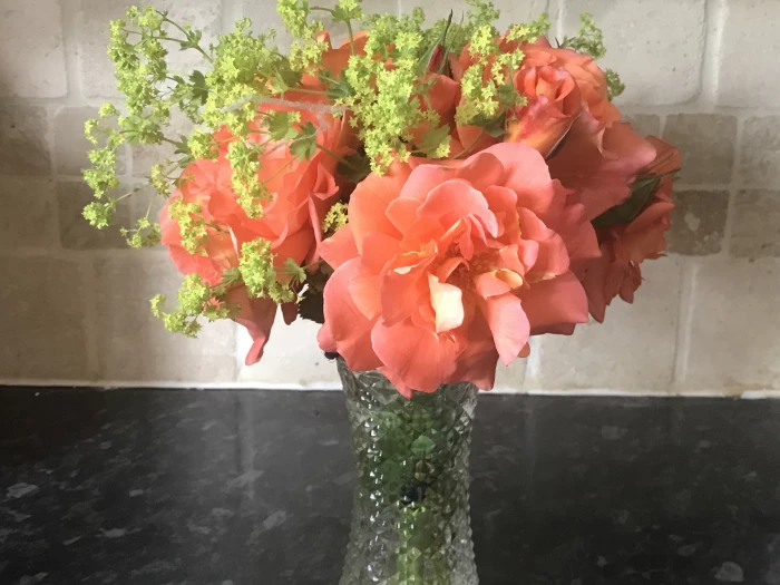posy  westerland with alchemilla mollis