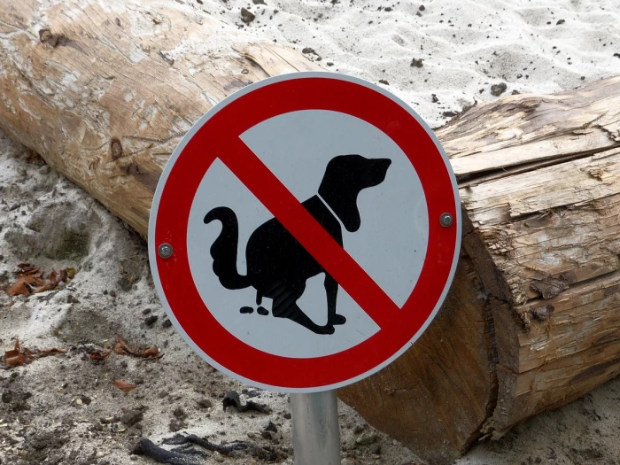 prohibitory sandpit dog