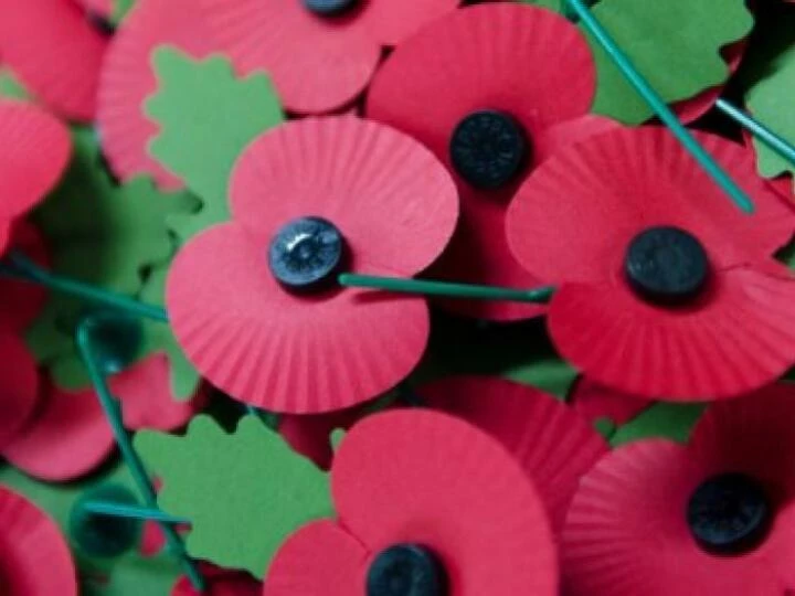 redpoppy