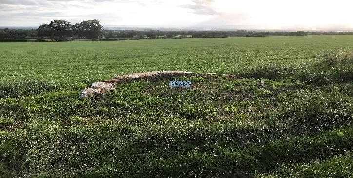 remains of one of the 12 apostle trees