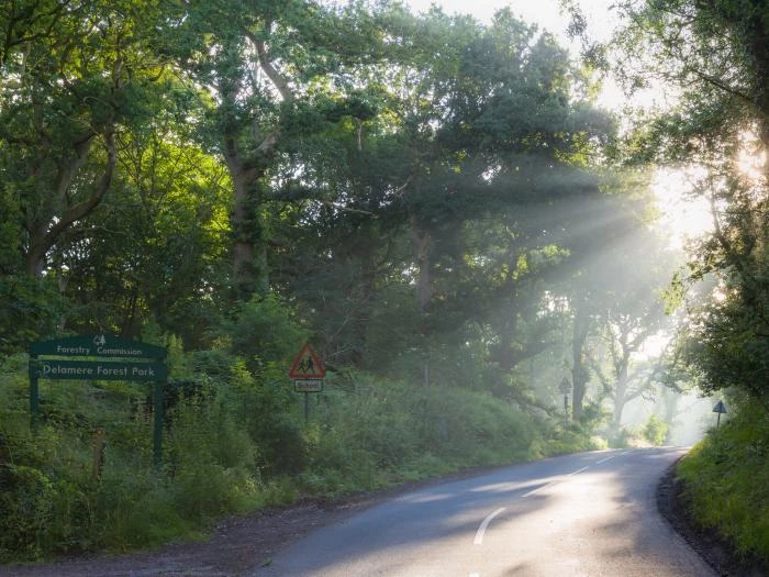 road through delamere forest4