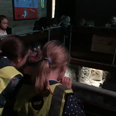 roman trip 21122