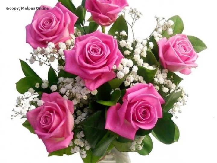 roses