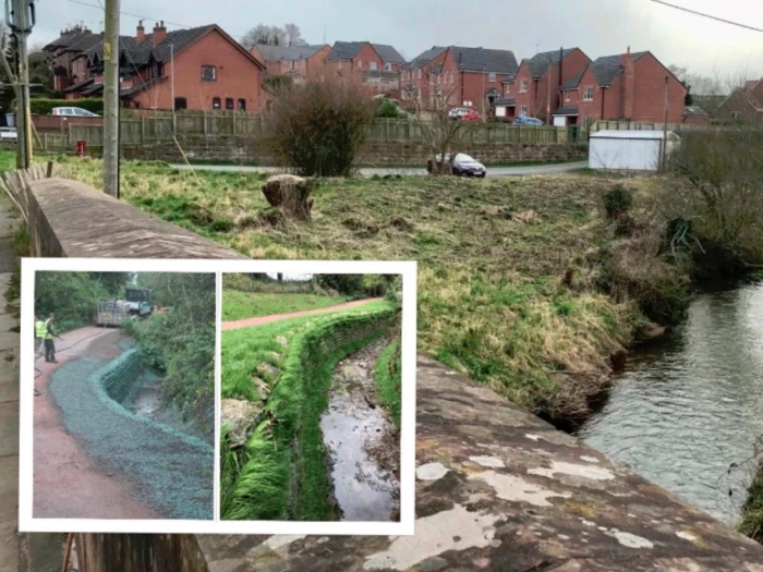 sally clarkes meadow wybunbury brook riverbank stabilisation project