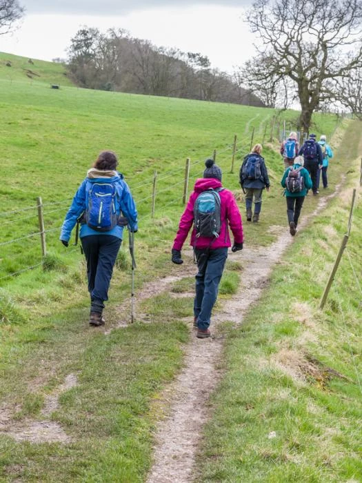 sandstone ridge   footpath at kelsborrow castle 2
