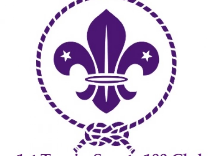 scouts emblem 100 club