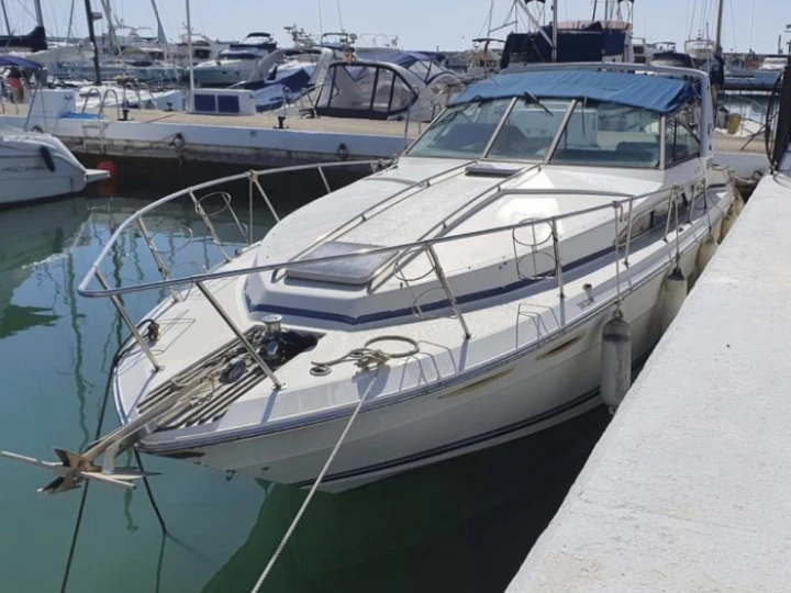 searay1