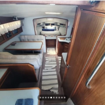 searay7