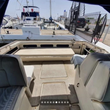 searay8