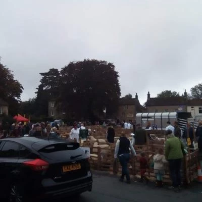sheep fair 2019