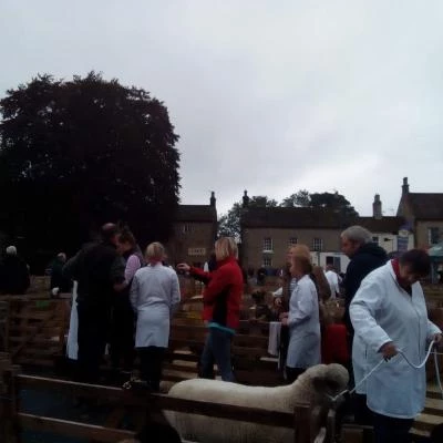 sheep fair 2019