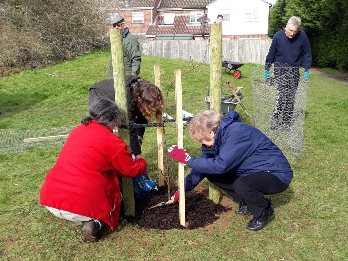 sheerstock tree planting mar2003