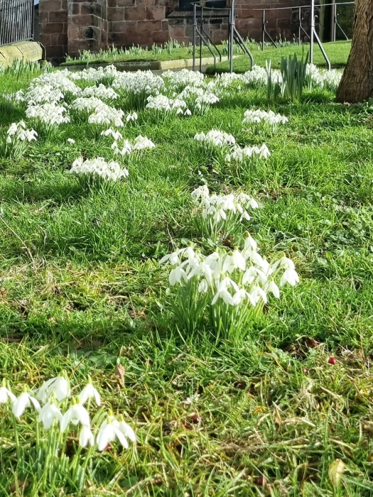 signs of spring