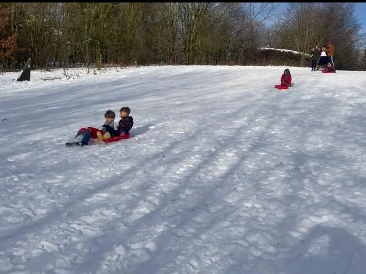 sledging25