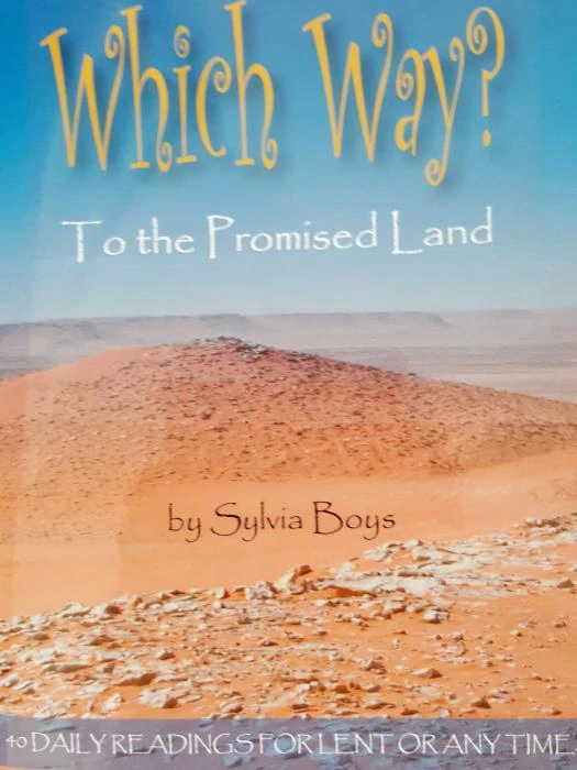 slyvia boys book