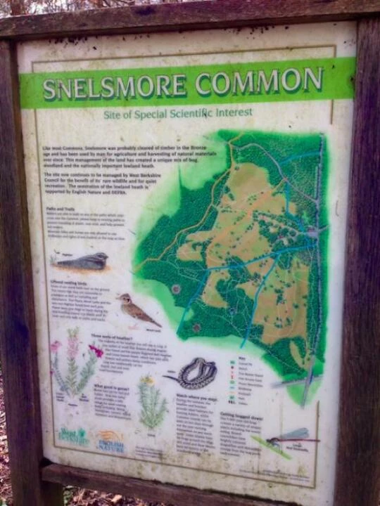 snelsmorecommon