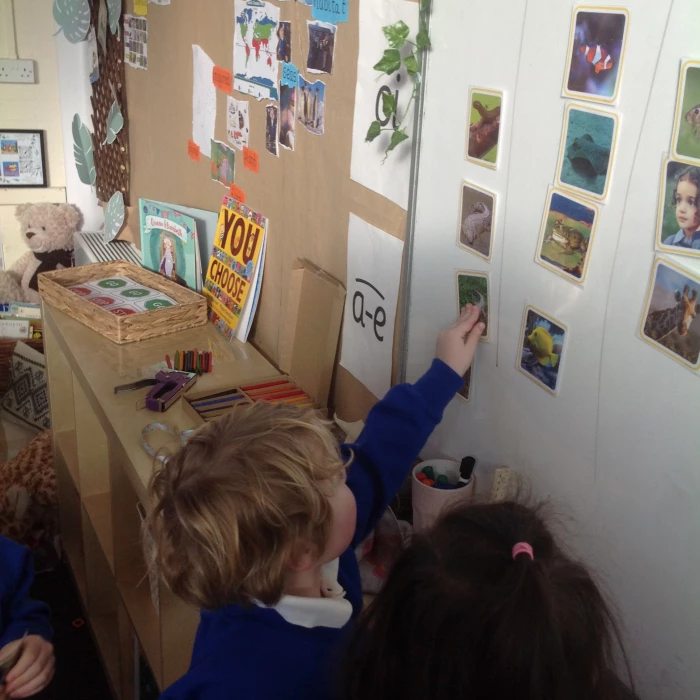 sorting animals
