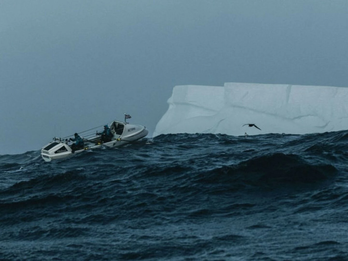 southern ocean rowing pic
