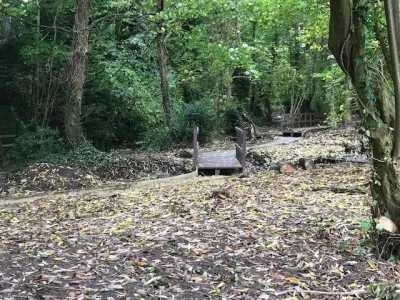 spinney c