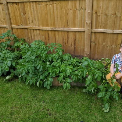 spuds 19