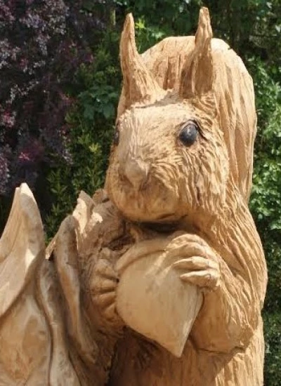 squirrel 1 2