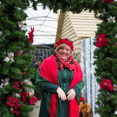 sue provides the elf service